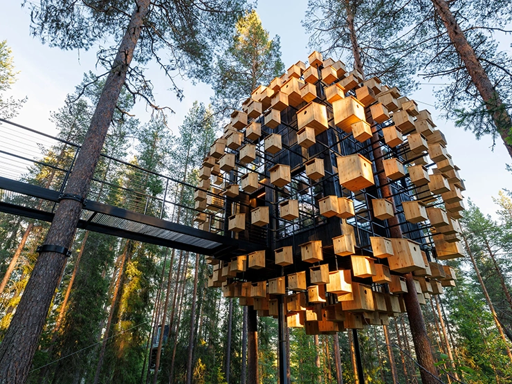 Treehotel15